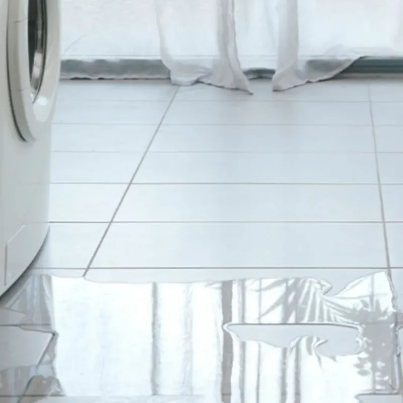 Appliance Leak Cleanup in Selma, AL