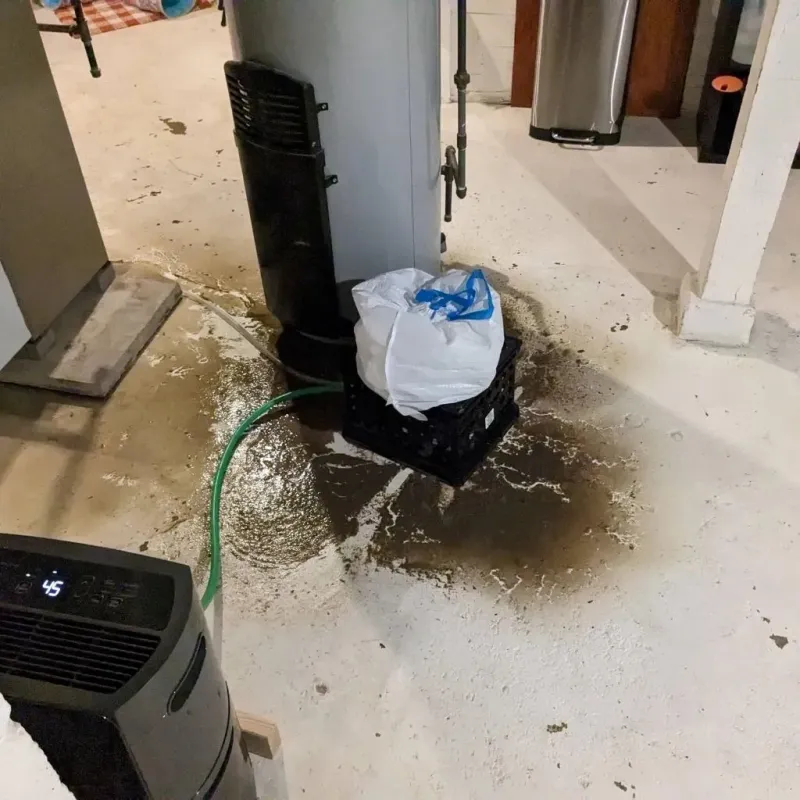 Sewage Backup Cleanup Service in Selma, AL